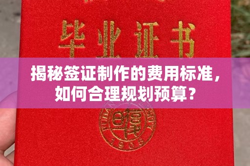 泸水揭秘签证制作的费用标准，如何合理规划预算？