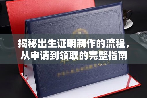泸水揭秘出生证明制作的流程，从申请到领取的完整指南