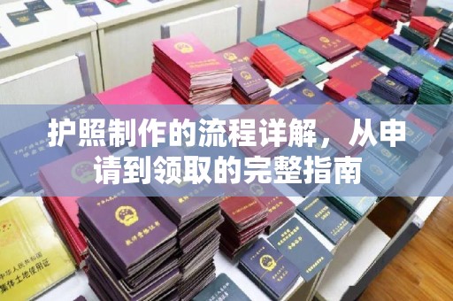泸水护照制作的流程详解，从申请到领取的完整指南