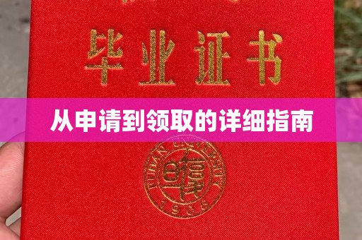 泸水从申请到领取的详细指南