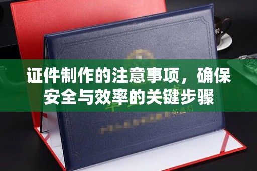 泸水证件制作的注意事项，确保安全与效率的关键步骤