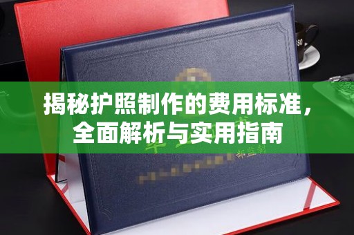 泸水揭秘护照制作的费用标准，全面解析与实用指南
