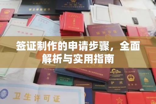 泸水签证制作的申请步骤，全面解析与实用指南