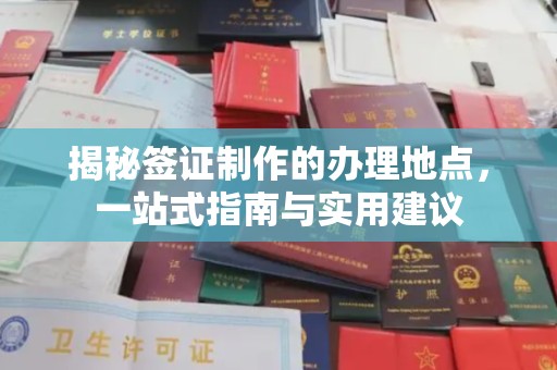 泸水揭秘签证制作的办理地点，一站式指南与实用建议