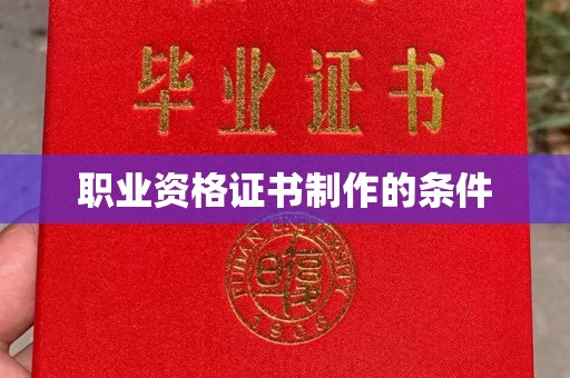 泸水职业资格证书制作的条件