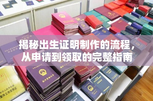 泸水揭秘出生证明制作的流程，从申请到领取的完整指南