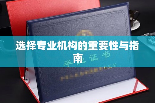 泸水选择专业机构的重要性与指南