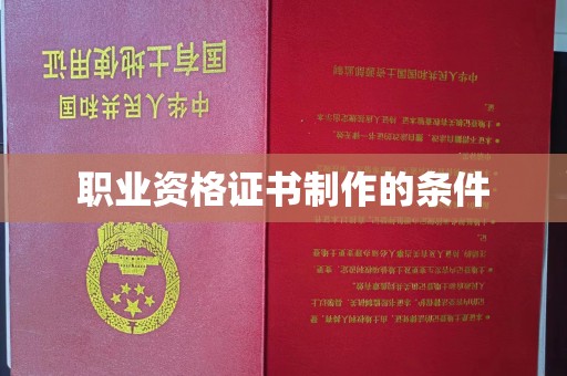 泸水职业资格证书制作的条件