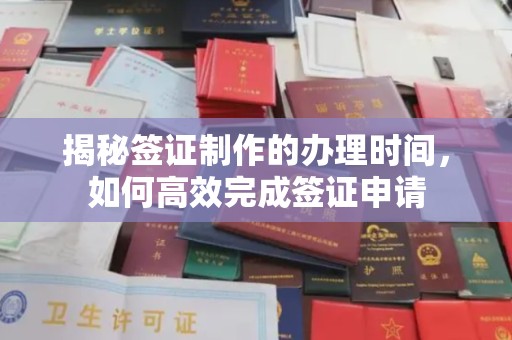 泸水揭秘签证制作的办理时间，如何高效完成签证申请