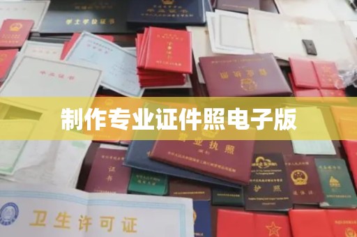 泸水制作专业证件照电子版