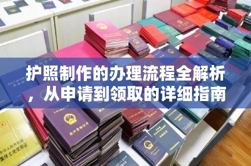 泸水护照制作的办理流程全解析，从申请到领取的详细指南