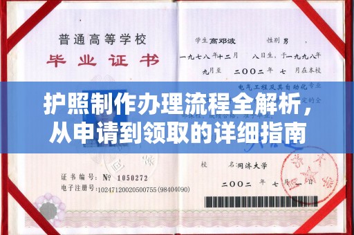泸水护照制作办理流程全解析，从申请到领取的详细指南