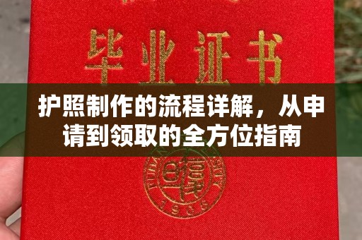 泸水护照制作的流程详解，从申请到领取的全方位指南