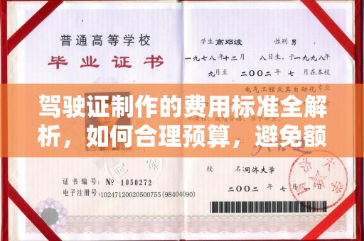 泸水驾驶证制作的费用标准全解析，如何合理预算，避免额外支出
