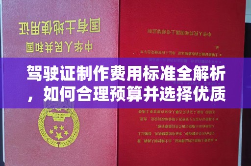 泸水驾驶证制作费用标准全解析，如何合理预算并选择优质服务？
