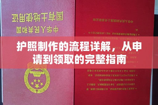 泸水护照制作的流程详解，从申请到领取的完整指南
