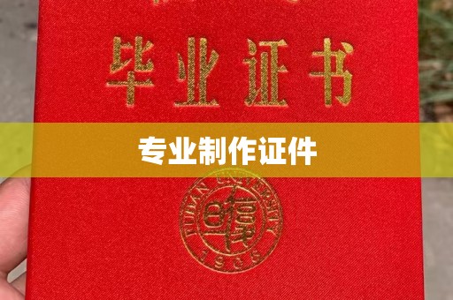 泸水专业制作证件